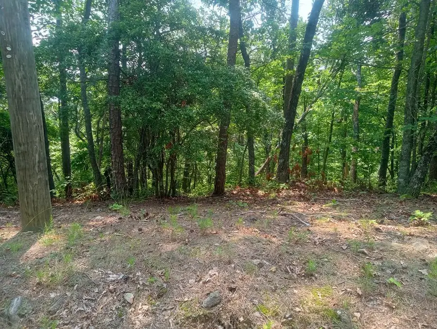 Lt 1227 Hilton Drive, Ranger, GA 30734 - #2