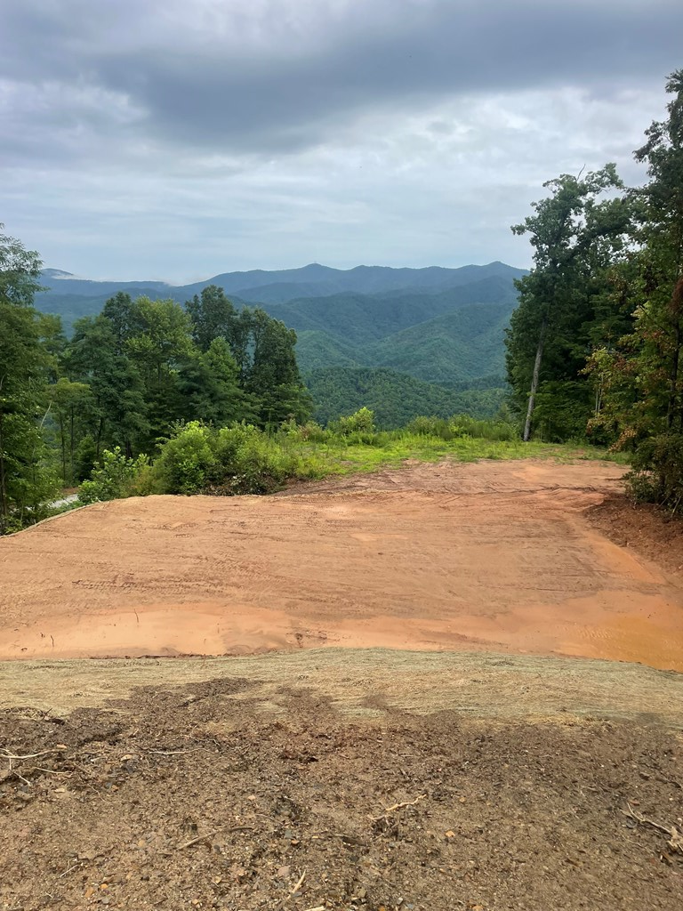 00 Cahill Drive, Andrews, NC 28901 - Image #2