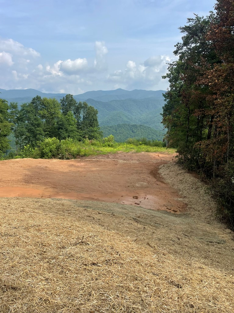 00 Cahill Drive, Andrews, NC 28901 - Image #3