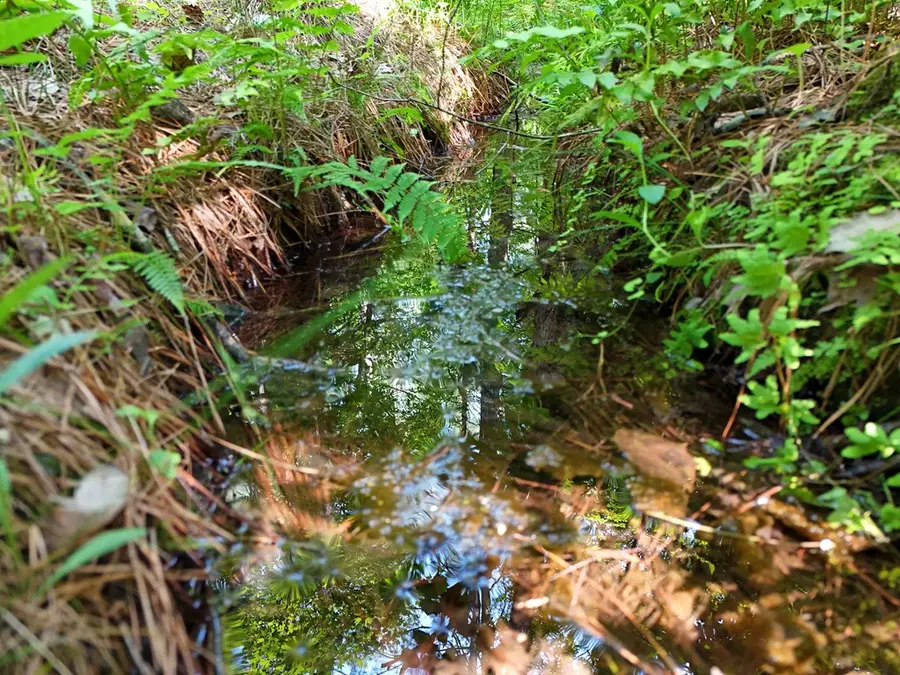 278 Golf Course Road, Copperhill, TN 37317 - Image #3