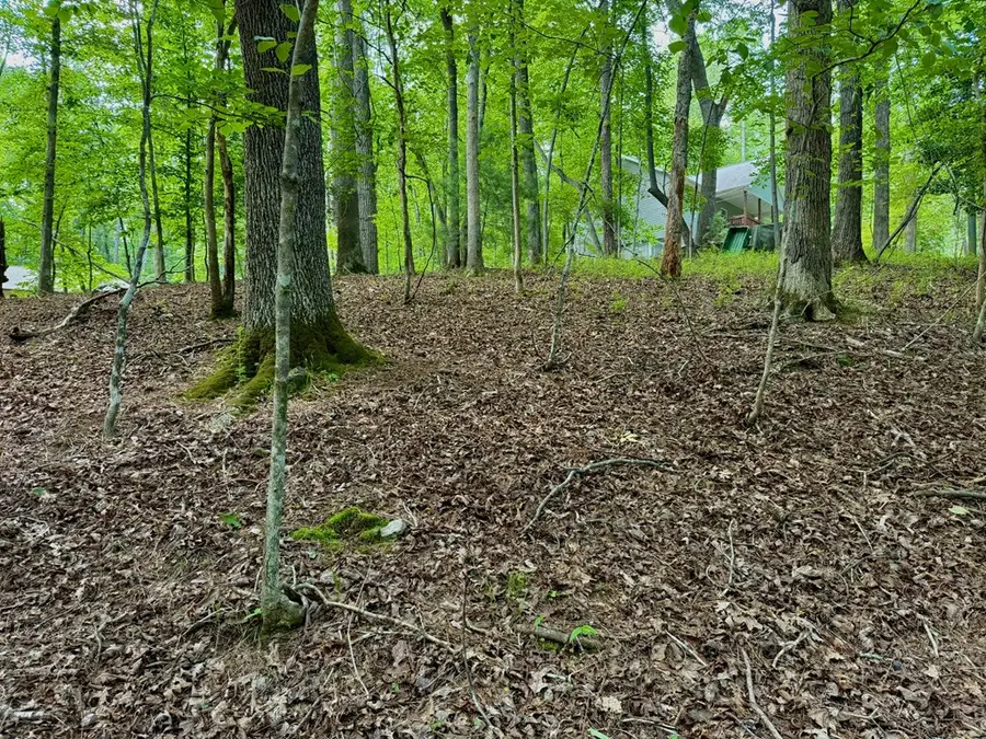 694 Echo Lane, Ellijay, GA 30540 - Image #2