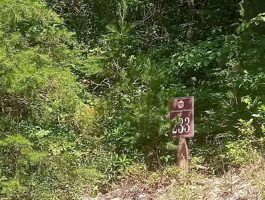 Lt 233 Stone Cliff Drive, Ellijay, GA 30536 - Image #2