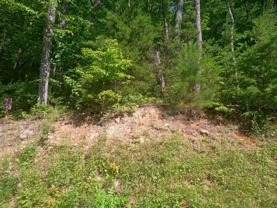 Lt 233 Stone Cliff Drive, Ellijay, GA 30536 - Image #3