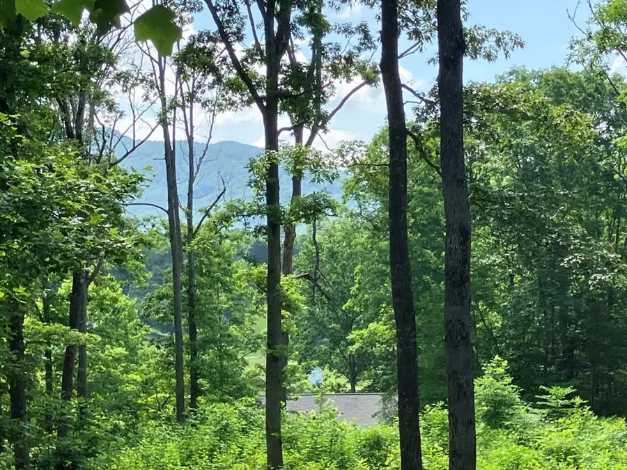 6364 Springwood Trail, Young Harris, GA 30582 - Image #3