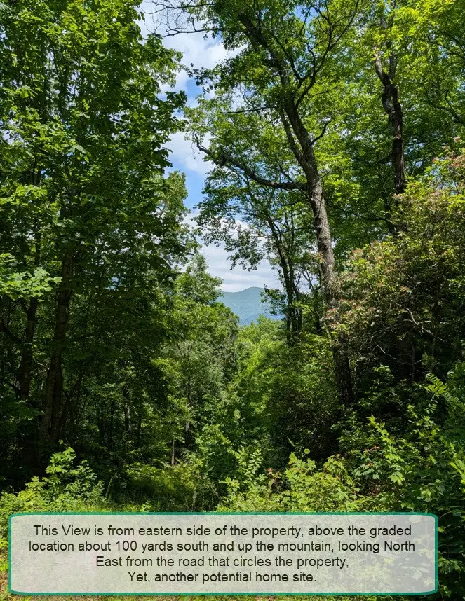 30.91 Ac Hwy 64 E, Hayesville, NC 28904 - Image #3