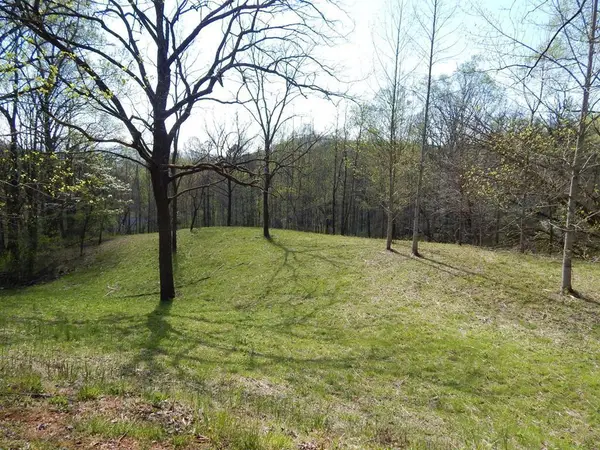 Lot 6 High Meadows, Hayesville, NC 28904
