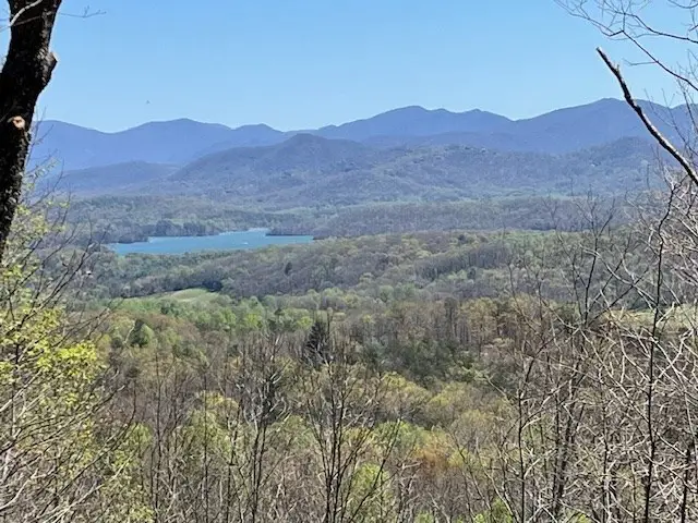 Lot 11 Longview Drive, Hayesville, NC 28904 - Image #2