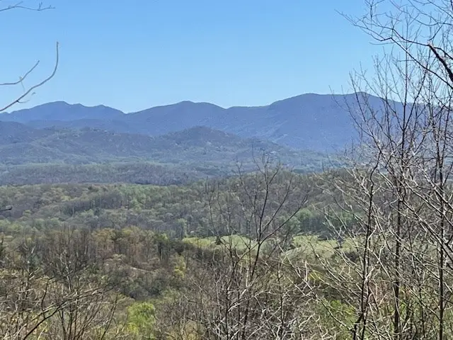 Lot 11 Longview Drive, Hayesville, NC 28904 - Image #3