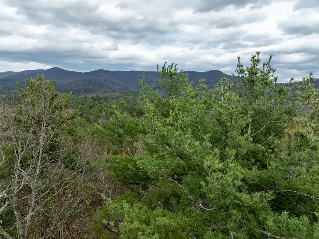 LOT A-D Harpers Creek Road, Ellijay, GA 30540 - Image #1