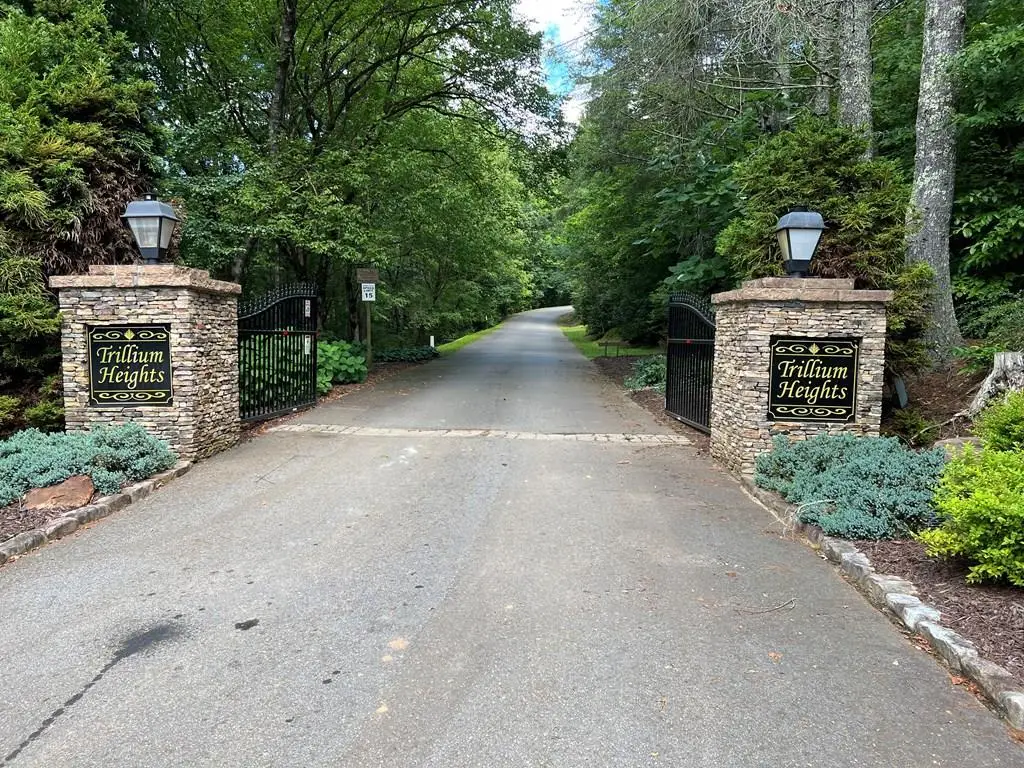 Lot 10 Trillium Heights, Brasstown, NC 28902 - #1