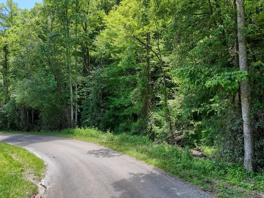 779 Grindstone Road, Murphy, NC 28906 - Image #2