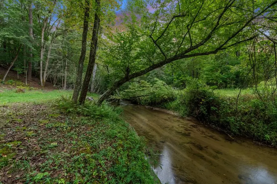 215 Twin Creeks, Blue Ridge, GA 30513 - #2