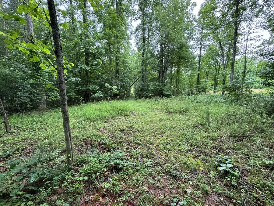 Lot 46 Bayside Lane, Blairsville, GA 30512 - Image #2