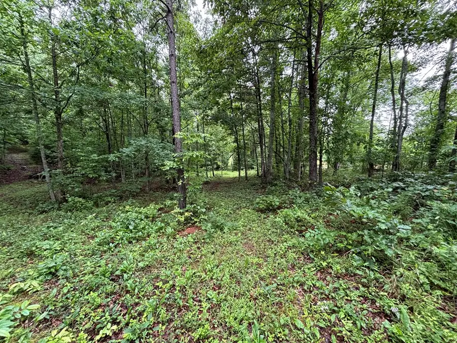 Lot 46 Bayside Lane, Blairsville, GA 30512 - Image #3