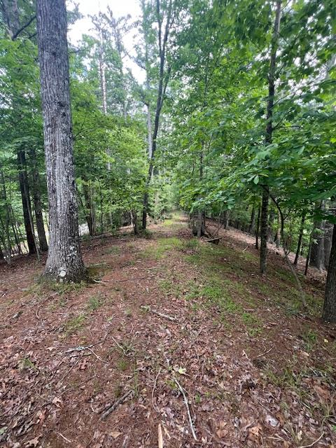Lot 20 Moonshine Mountain Road, Mineral Bluff, GA 30559