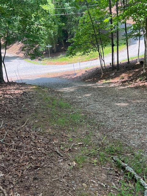 Lot 20 E Moonshine Mountain Road, Mineral Bluff, GA 30559 - Image #3