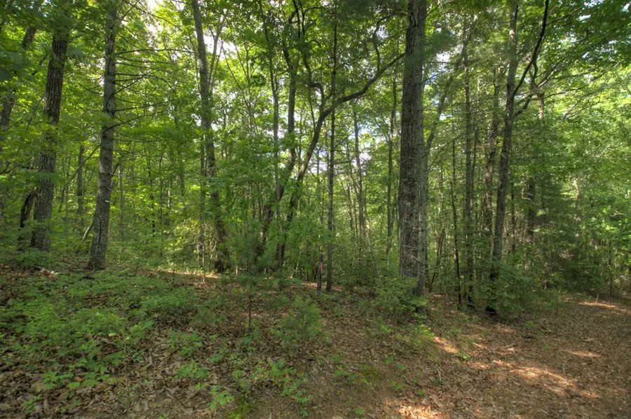 0 Menagerie Ridge, Epworth, GA 30541 - Image #2