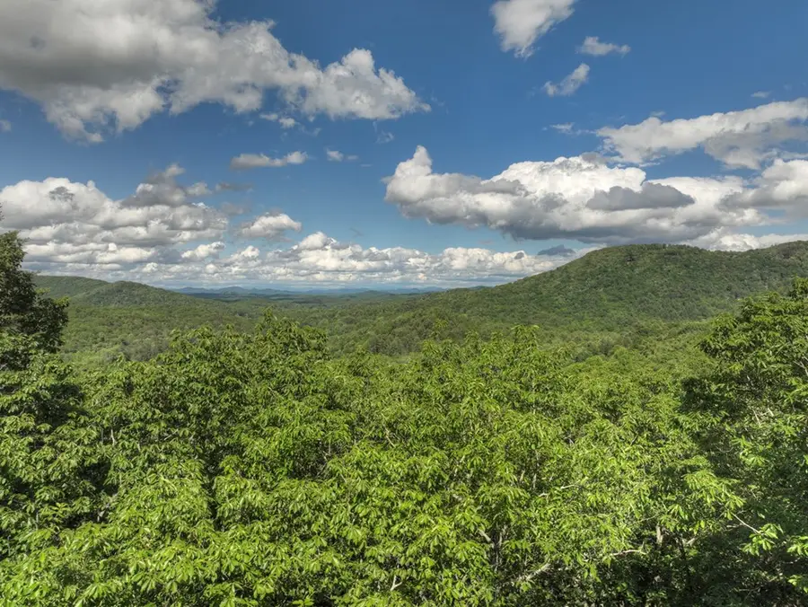 0 Menagerie Ridge, Epworth, GA 30541 - Image #3