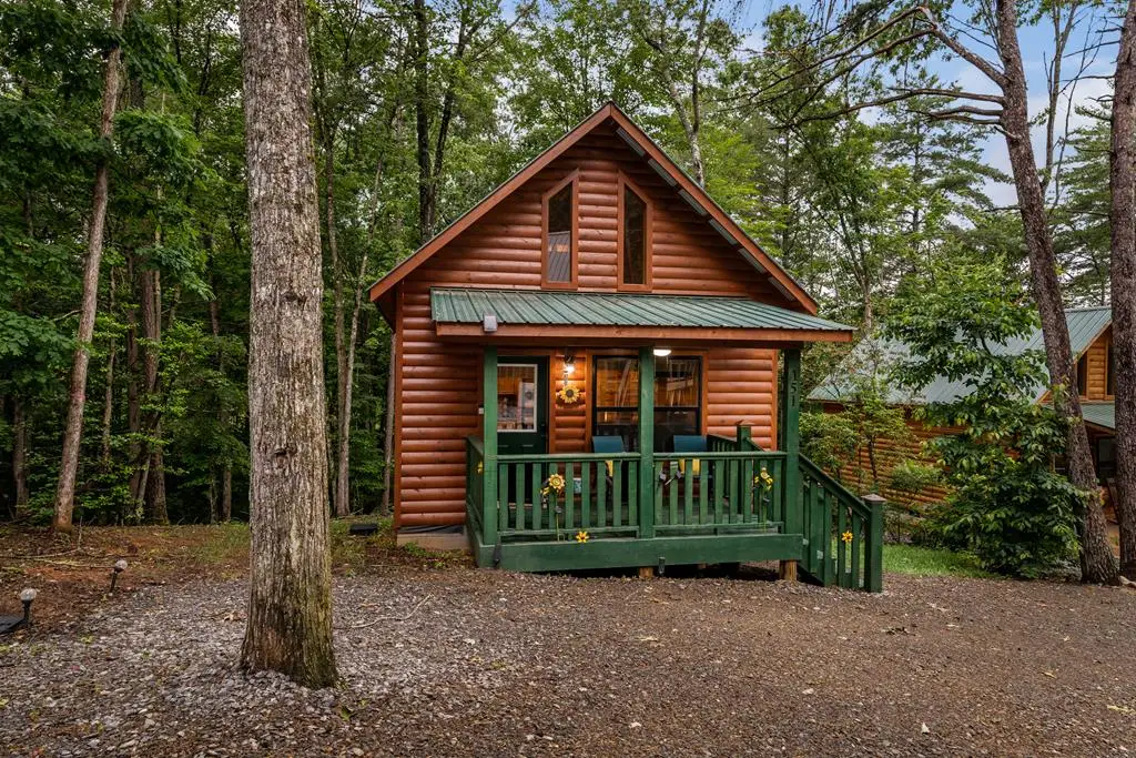 151 Rushmore Lane, Murphy, NC 28906 - Image #1