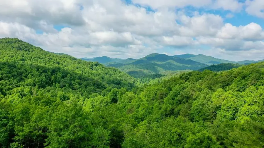 1515 Briartown Church Road, Topton, NC 28781 - Image #2