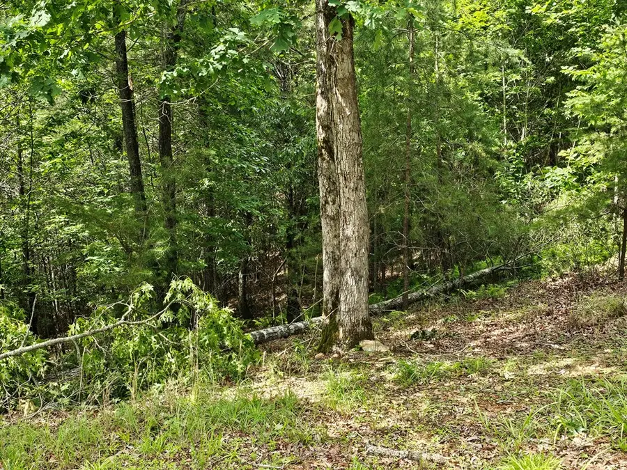 2.71 ac Ridgeline Road, Murphy, NC 28906 - Image #3
