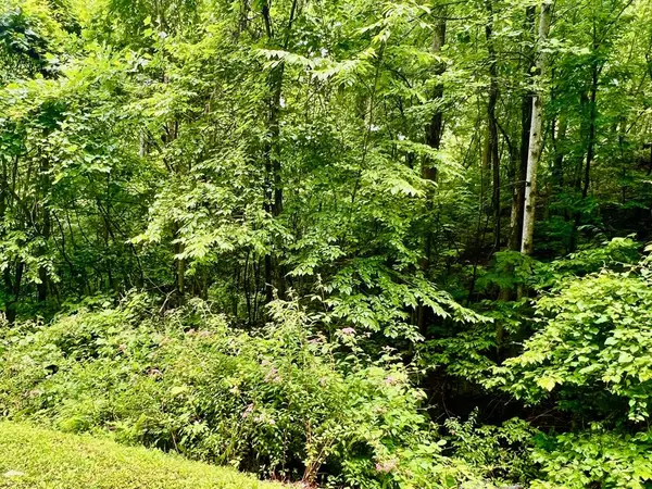 8 Black Bear Trail, Hiawassee, GA 30548