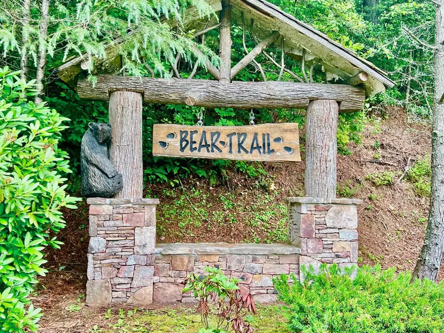 8 Black Bear Trail, Hiawassee, GA 30548 - Image #3