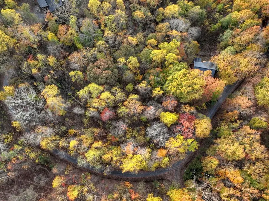 Lot 79 Moosilaukee Drive, Mineral Bluff, GA 30559 - Image #3