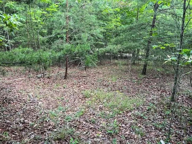 Lot 13 Gladys Lane, Young Harris, GA 30582 - Image #2