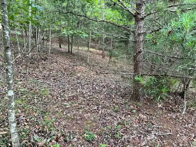 Lot 13 Gladys Lane, Young Harris, GA 30582 - Image #3