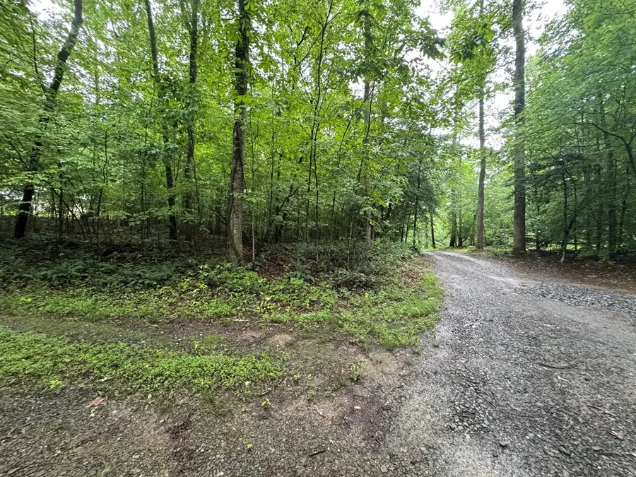 1.23 AC Bear Run Circle, Ellijay, GA 30540 - #2