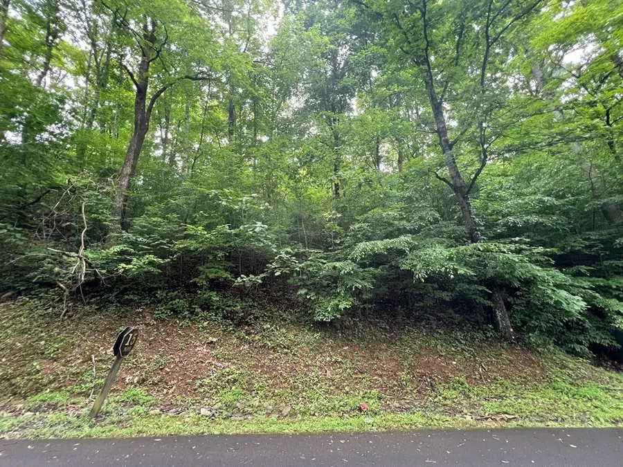 0 Ash Branch Circle, Hayesville, NC 28904 - Image #2