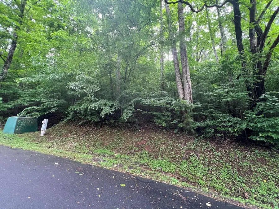 0 Ash Branch Circle, Hayesville, NC 28904 - Image #3