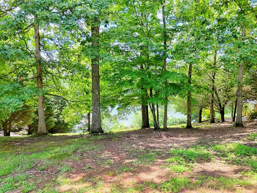 #4 Stonecrest Circle, Hiawassee, GA 30546 - Image #2