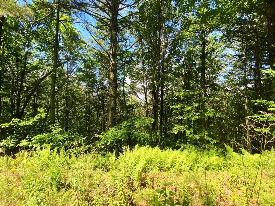 Lot 97 Choctaw Ridge Trail, Murphy, NC 28906 - Image #3