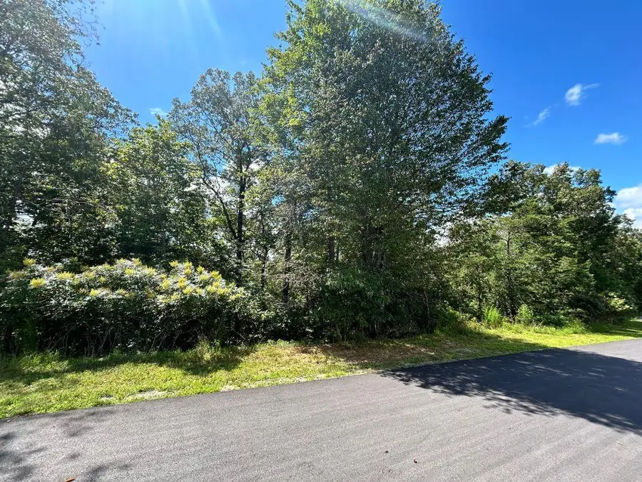 Lot 112 Fawn Way, Mineral Bluff, GA 30559 - Image #3