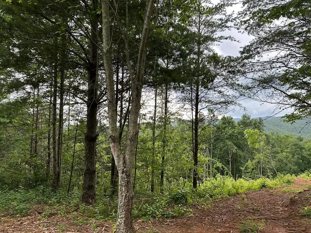 Tract 2 Stevens Ridge Road, Ellijay, GA 30540 - Image #1