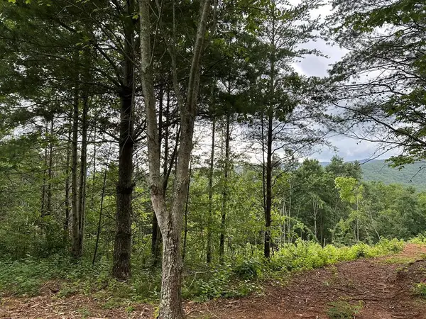 Tract 2 Stevens Ridge Road, Ellijay, GA 30540