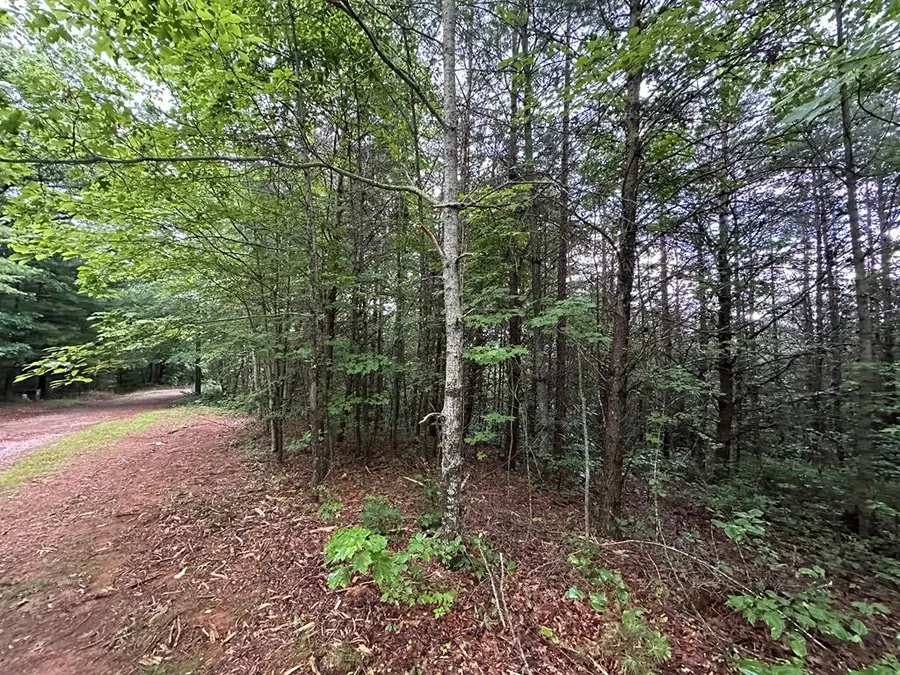 Tract 2 Stevens Ridge Road, Ellijay, GA 30540 - Image #3