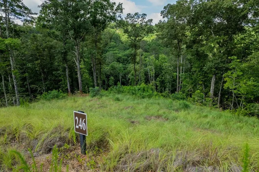 Lot 246 Spear Point Dr, Talking Rock, GA 30175 - #2