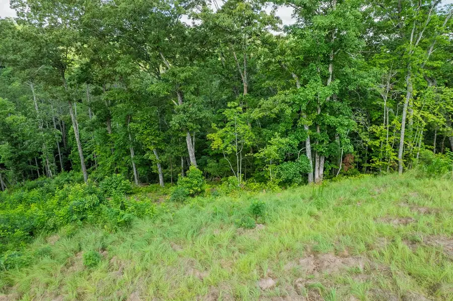 Lot 246 Spear Point Dr, Talking Rock, GA 30175 - #3
