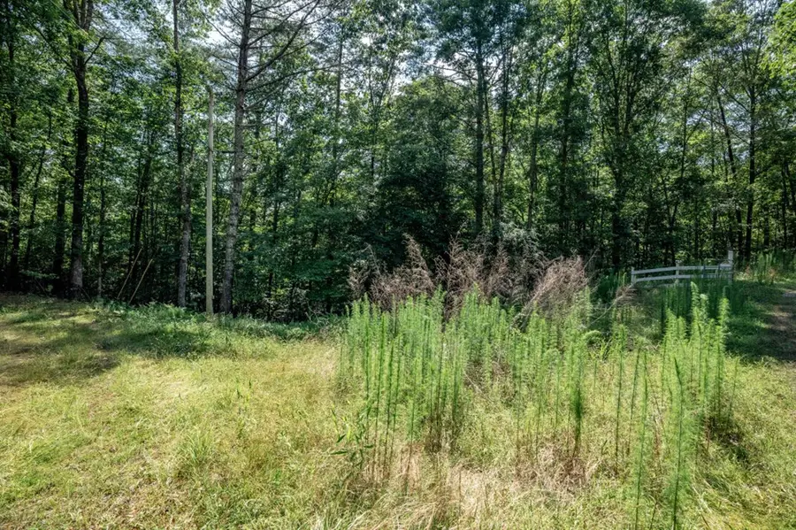 Lot 10 Raper Mill Creek, Murphy, NC 28906 - Image #2