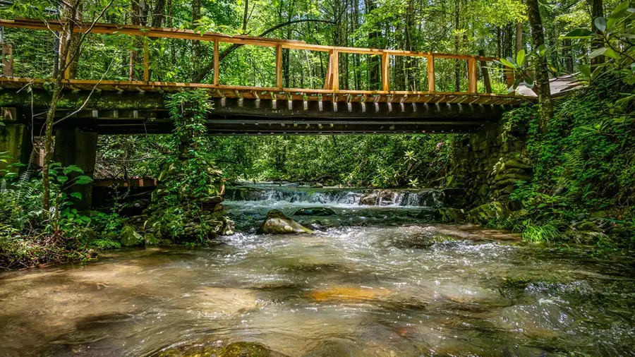 10323 Grassy Mountain Road, Ellijay, GA 30540 - #3