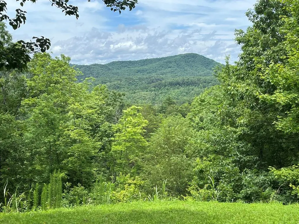 210 Autumn View Lane, Murphy, NC 28906 - Image #1