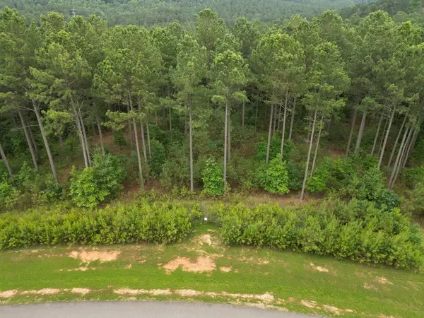 Lot 148 Stables Loop, Blairsville, GA 30512