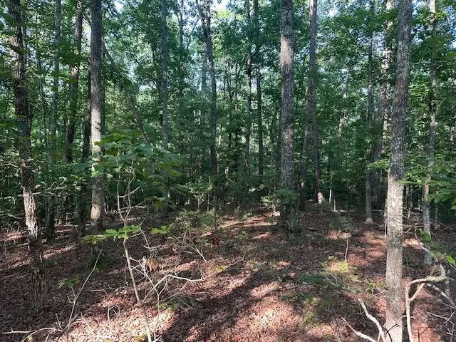 Lot 208 Boulder Creek Road, Murphy, NC 28906 - Image #2