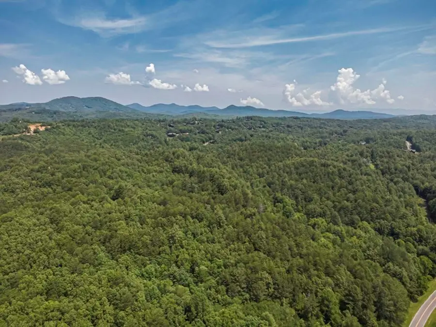 83.98 Ac Cutcane Road, Mineral Bluff, GA 30559 - Image #2
