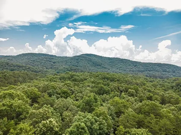 56.46 Ac Cutcane Road, Mineral Bluff, GA 30559