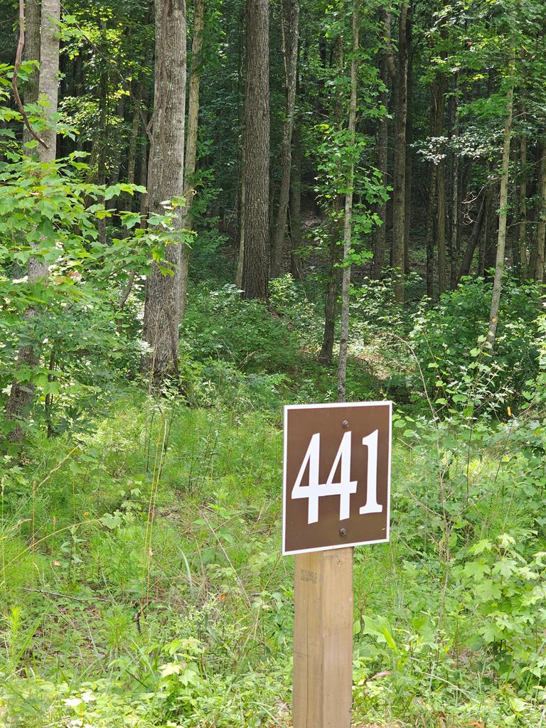 0 Twisted Oak Road, Talking Rock, GA 30175 - #1