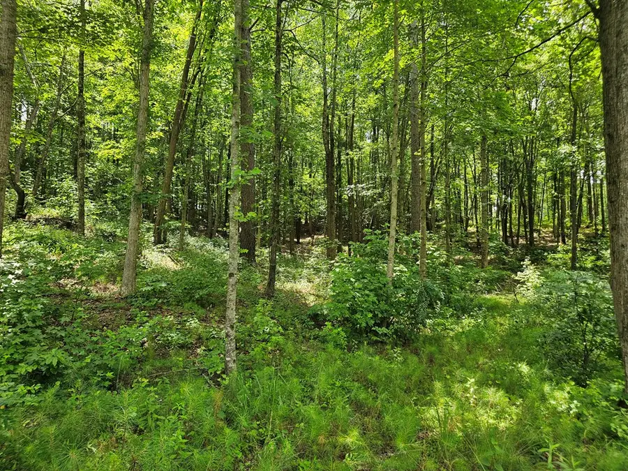 0 Twisted Oak Road, Talking Rock, GA 30175 - #3